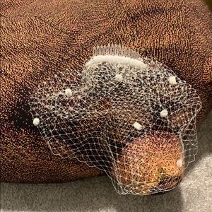 Handmade birdcage veil